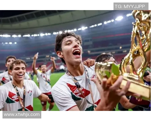 全球各大洲足球明星汇总及其成就分析与影响力探讨